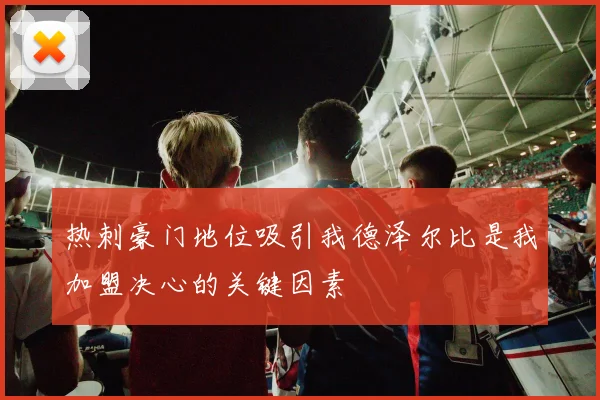 热刺豪门地位吸引我德泽尔比是我加盟决心的关键因素